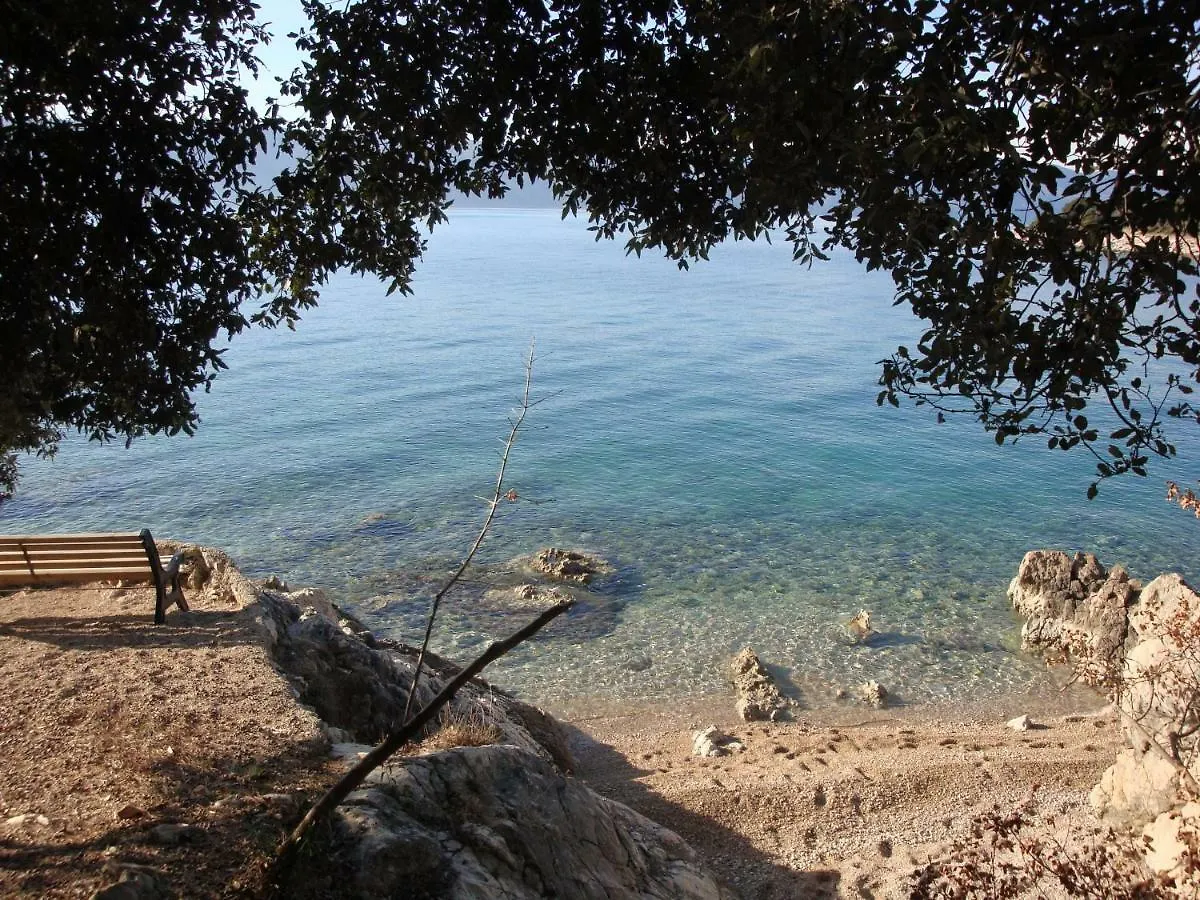 Apartments Olea Pinezici