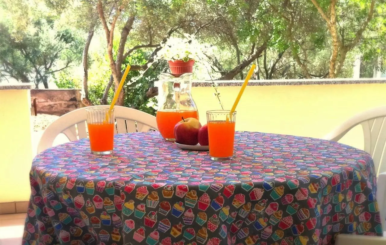 Apartments Olea Pinezici  Croatia