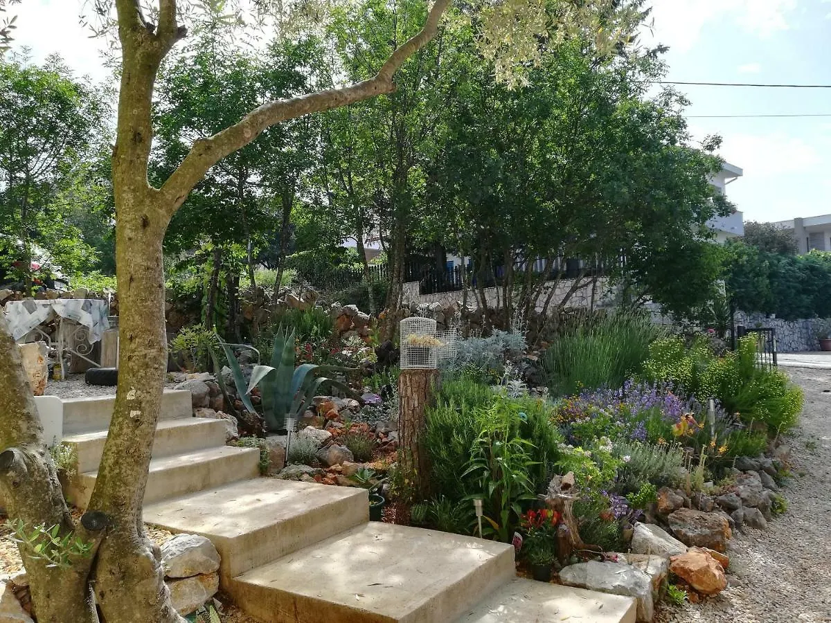 Apartments Olea Pinezici  0*, Pinezici (Krk) Croatia